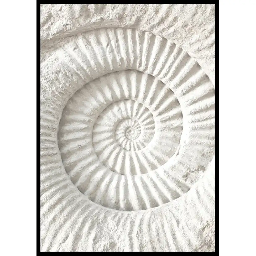 Poster Gallerix The Nautilus Carving