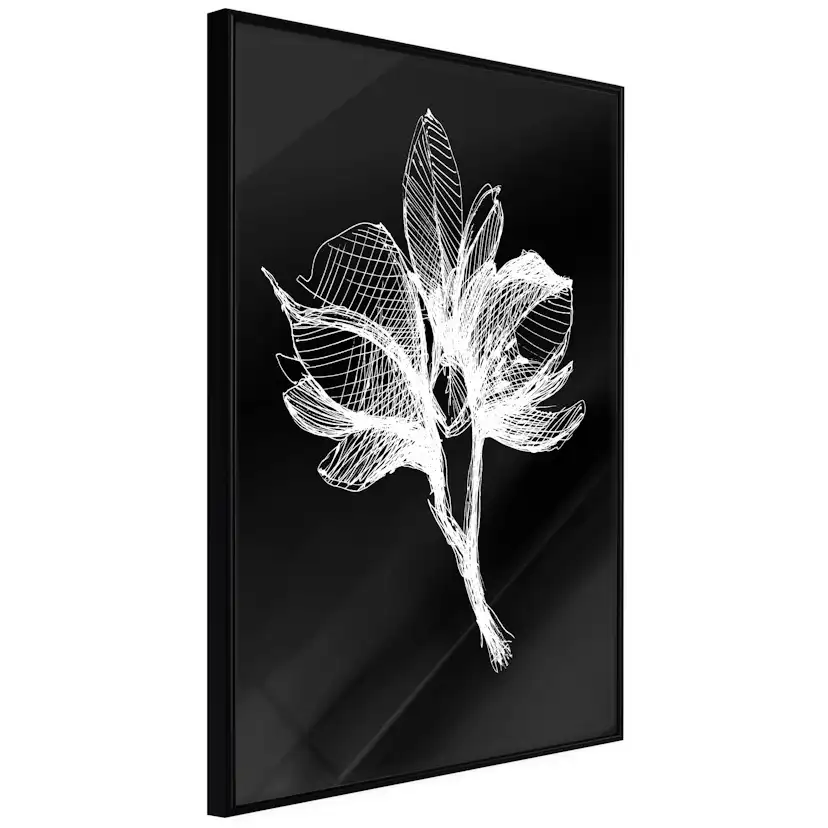 Poster Artgeist Affisch Night Flower