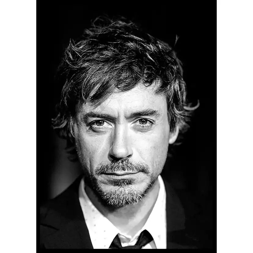 Poster Gallerix Robert Downey Jr