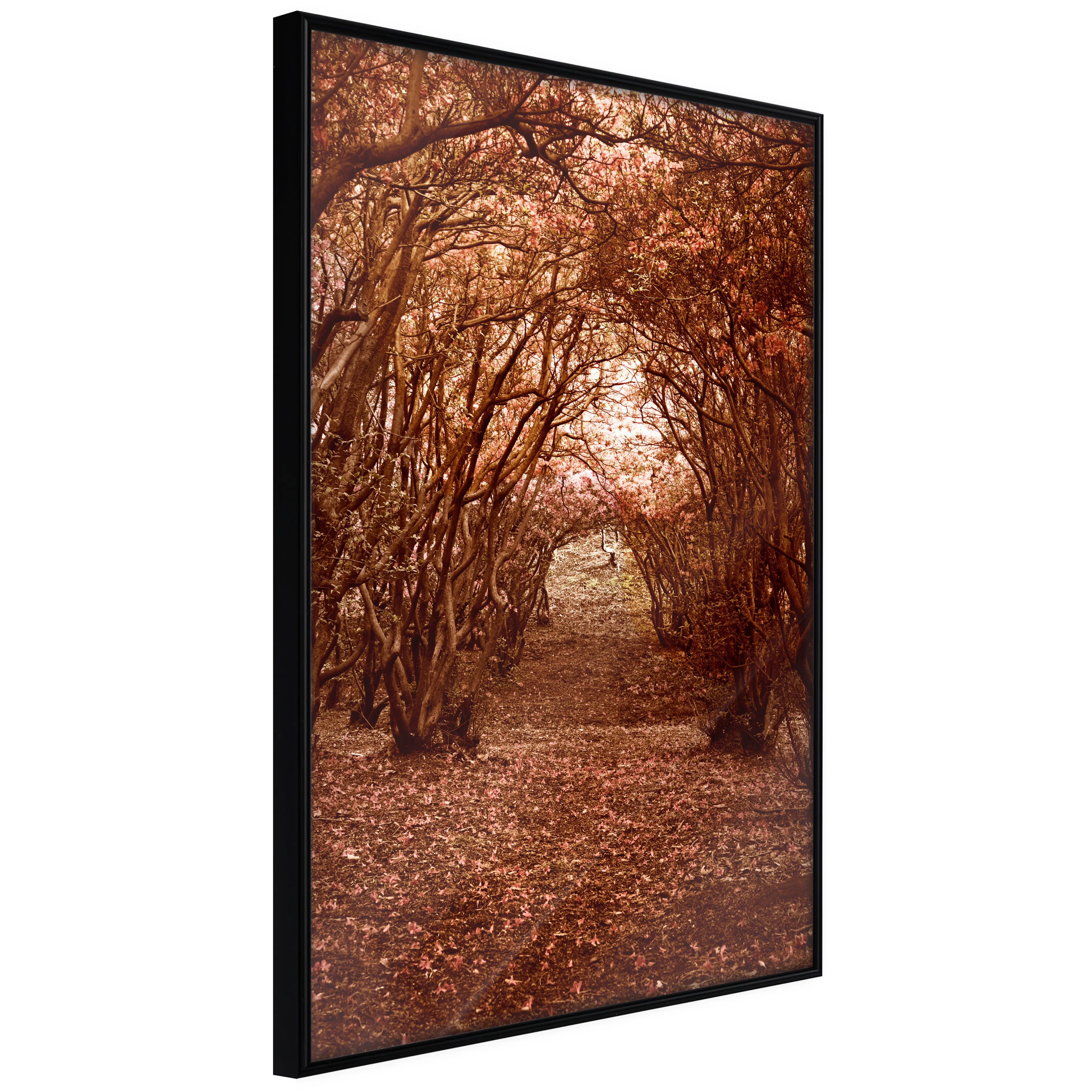 Affisch - Fulfilled Dreams [Poster] 40x60 Svart ram, 40x60 cm
