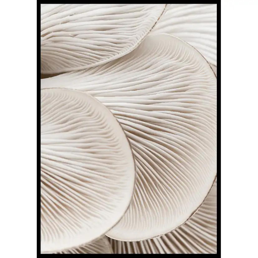 Poster Gallerix Mushrooms Close Up