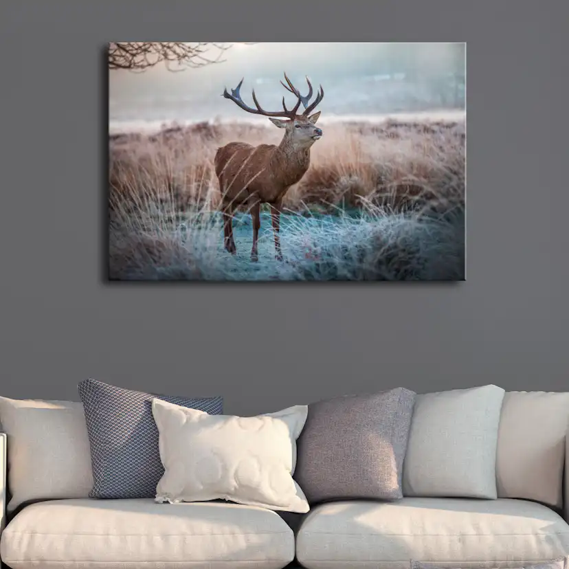 Tavla Arkiio Wild Animal