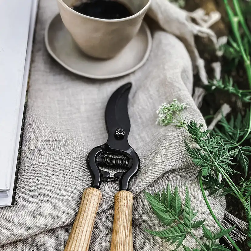 Sekatör by Benson Exclusive