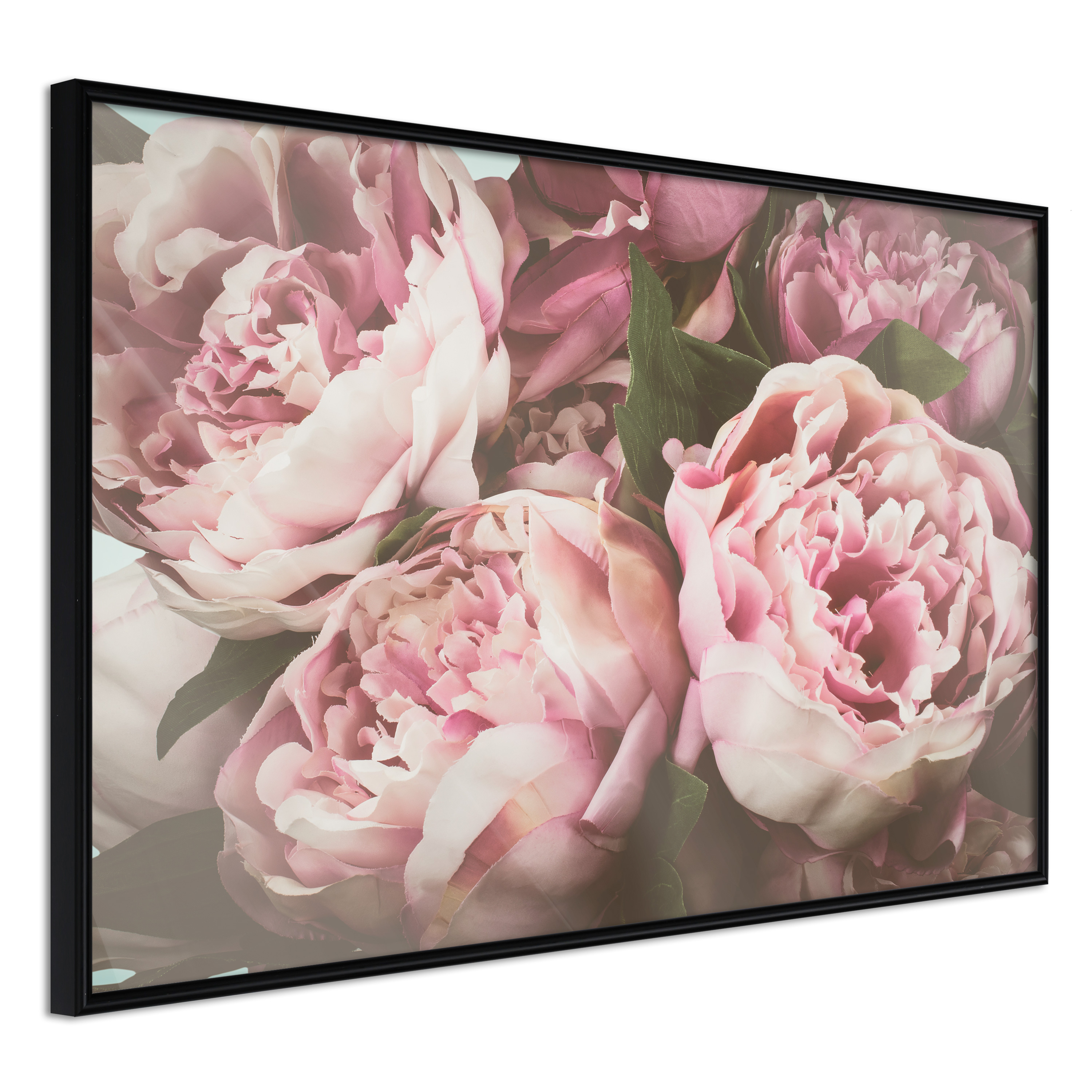 Affisch - Pink Peonies [Poster] 45x30 Svart ram, 45x30 cm