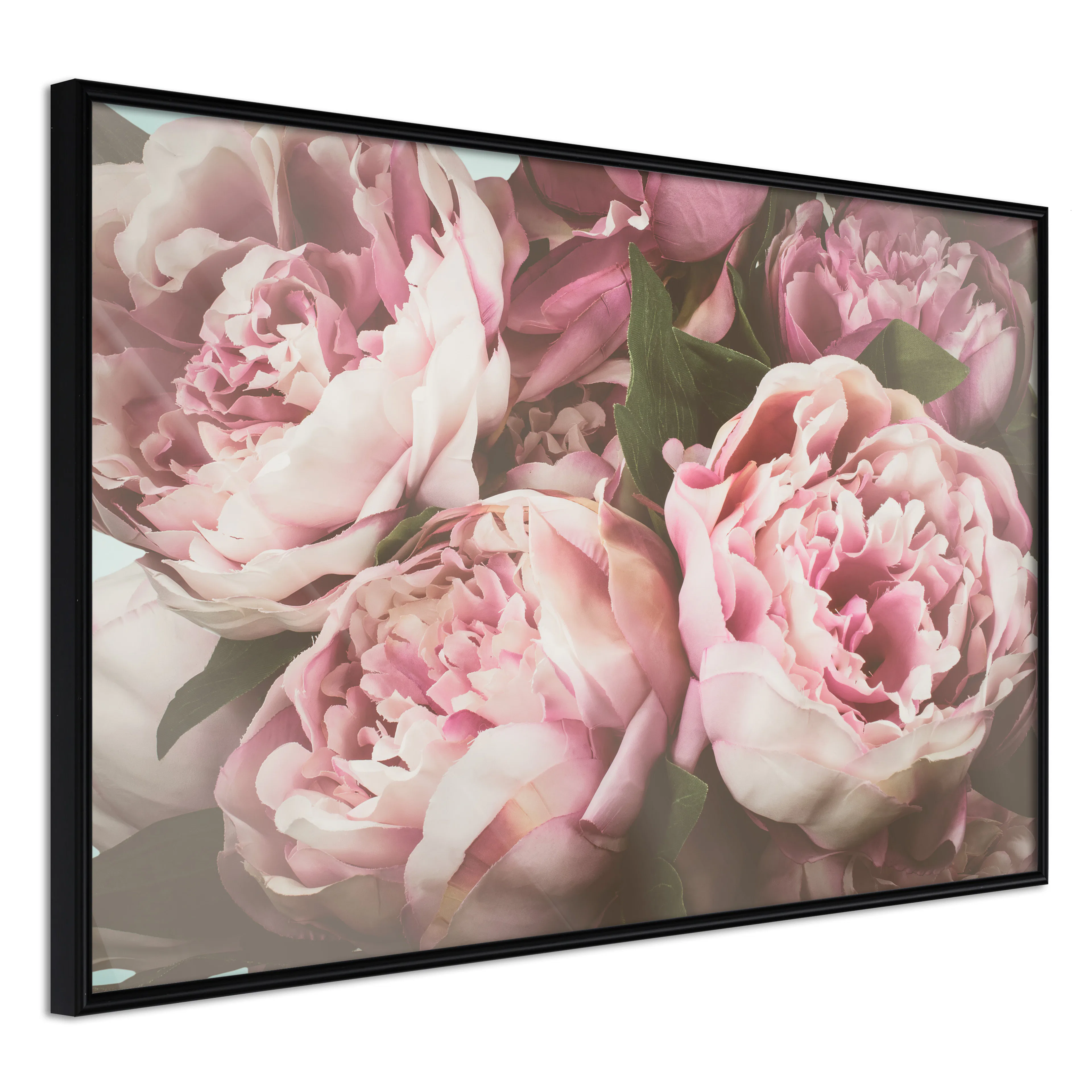 Affisch - Pink Peonies [Poster] 60x40 Svart ram, 60x40 cm