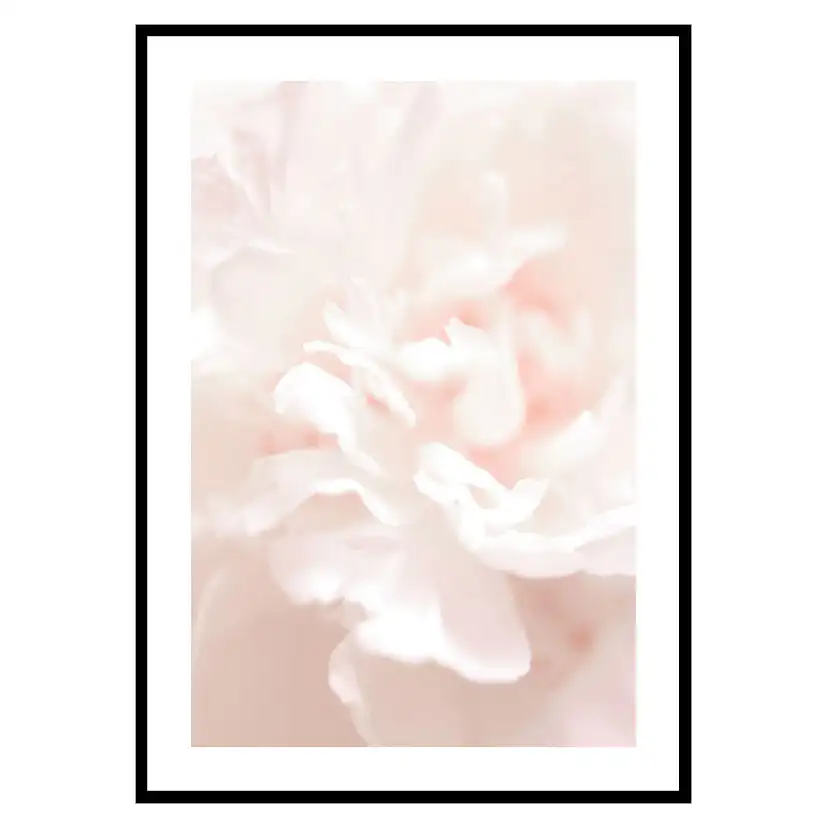 Poster Gallerix Tender Flowers No1