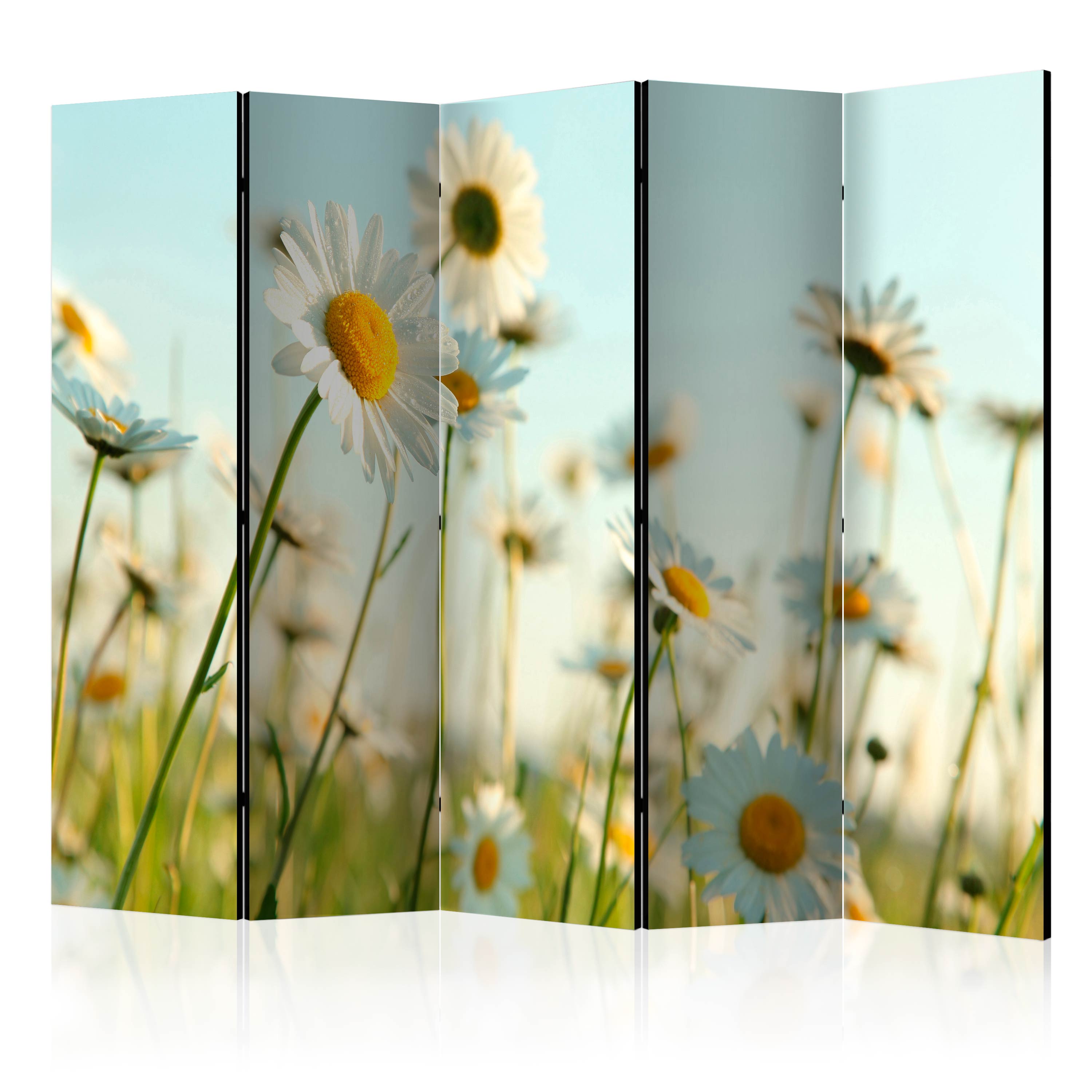 Rumsavdelare Arkiio Daisies Spring Meadow II Prästkragar 225x172 cm