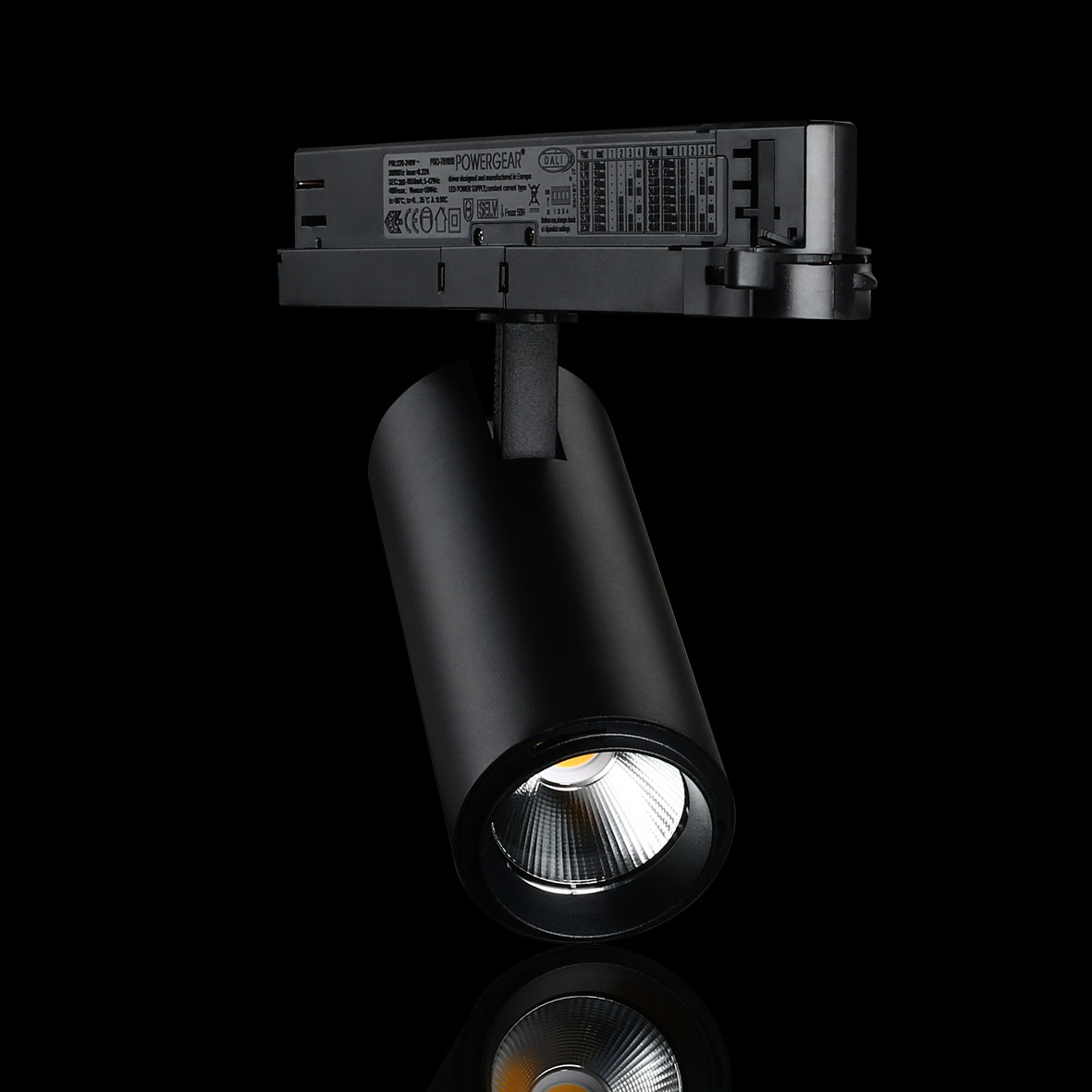 Spotlight Designlight Tracklight P Dali