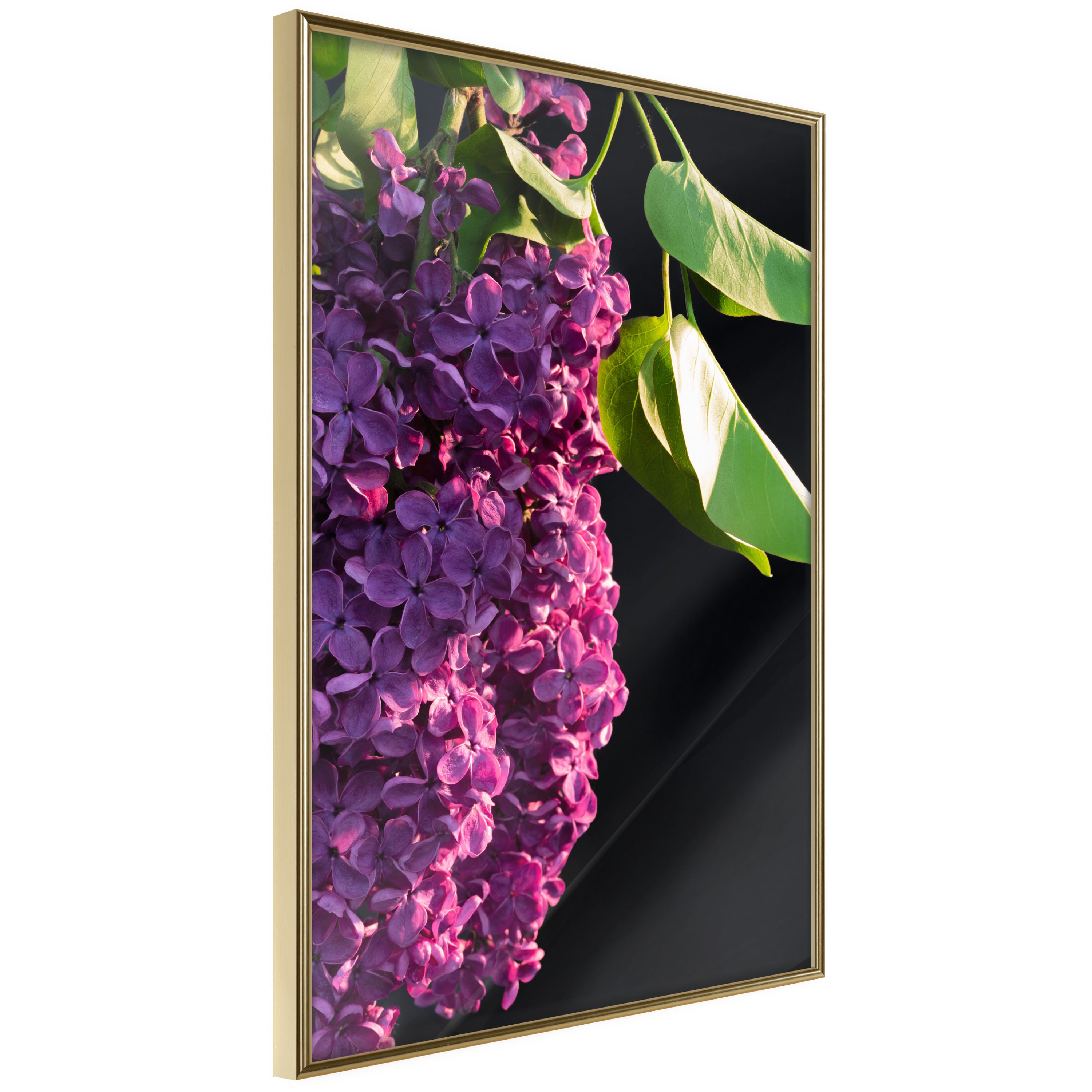 Affisch - Colours of Spring [Poster] 20x30 Guld ram, 20x30 cm