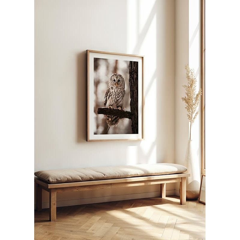 Poster Gallerix Owl