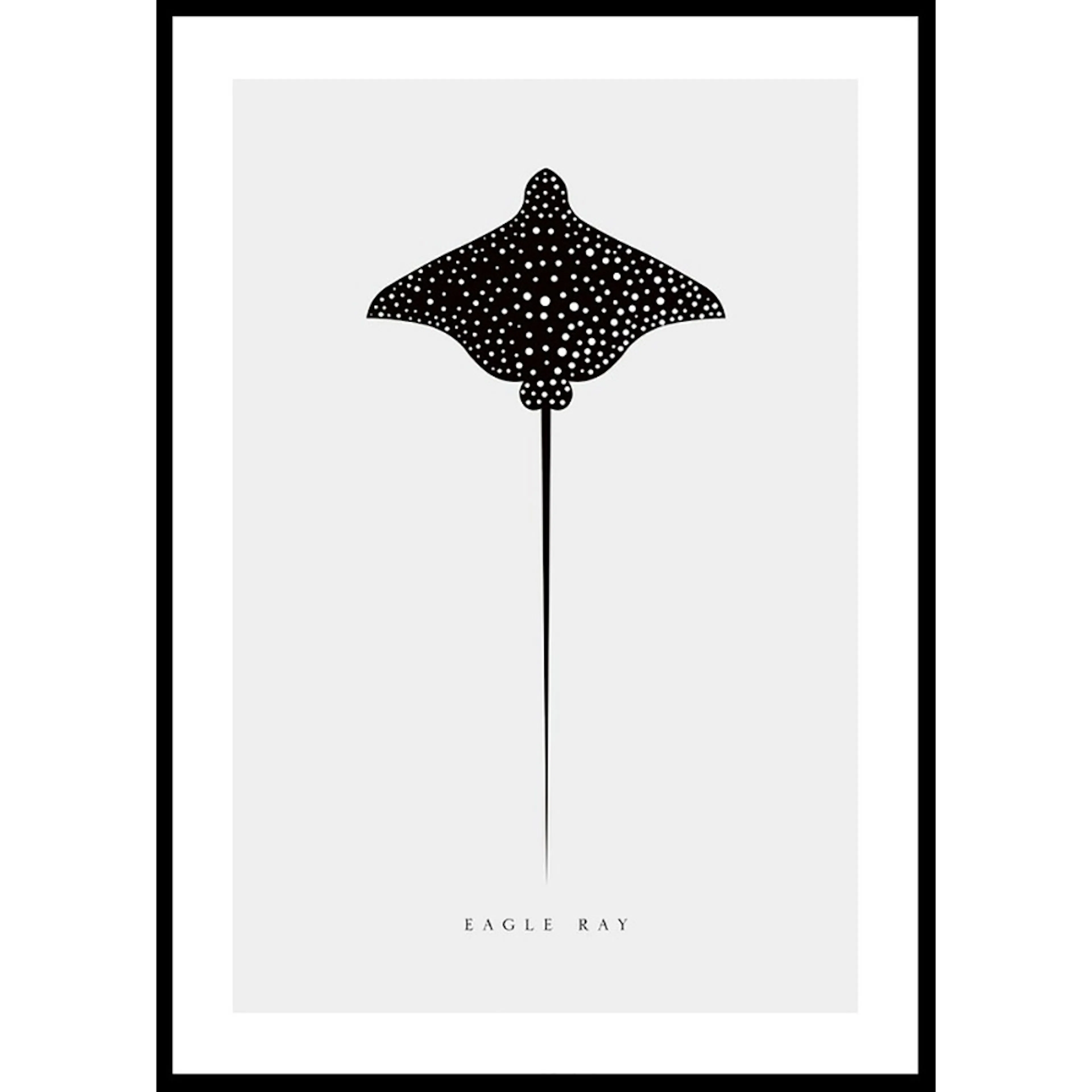 Poster Gallerix Eagle Ray