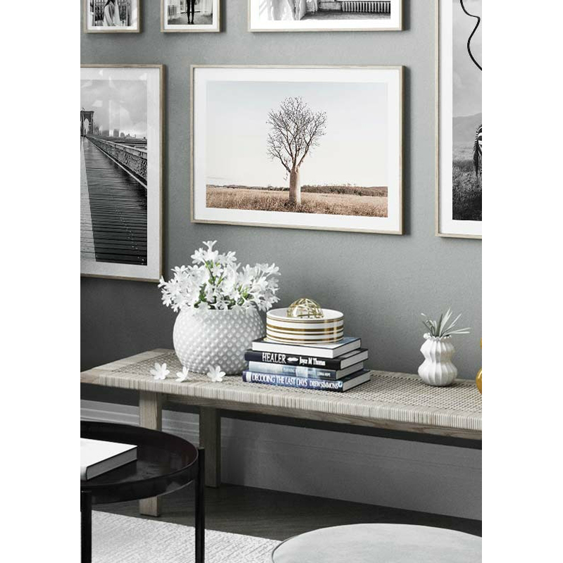 Poster Gallerix Boab Tree