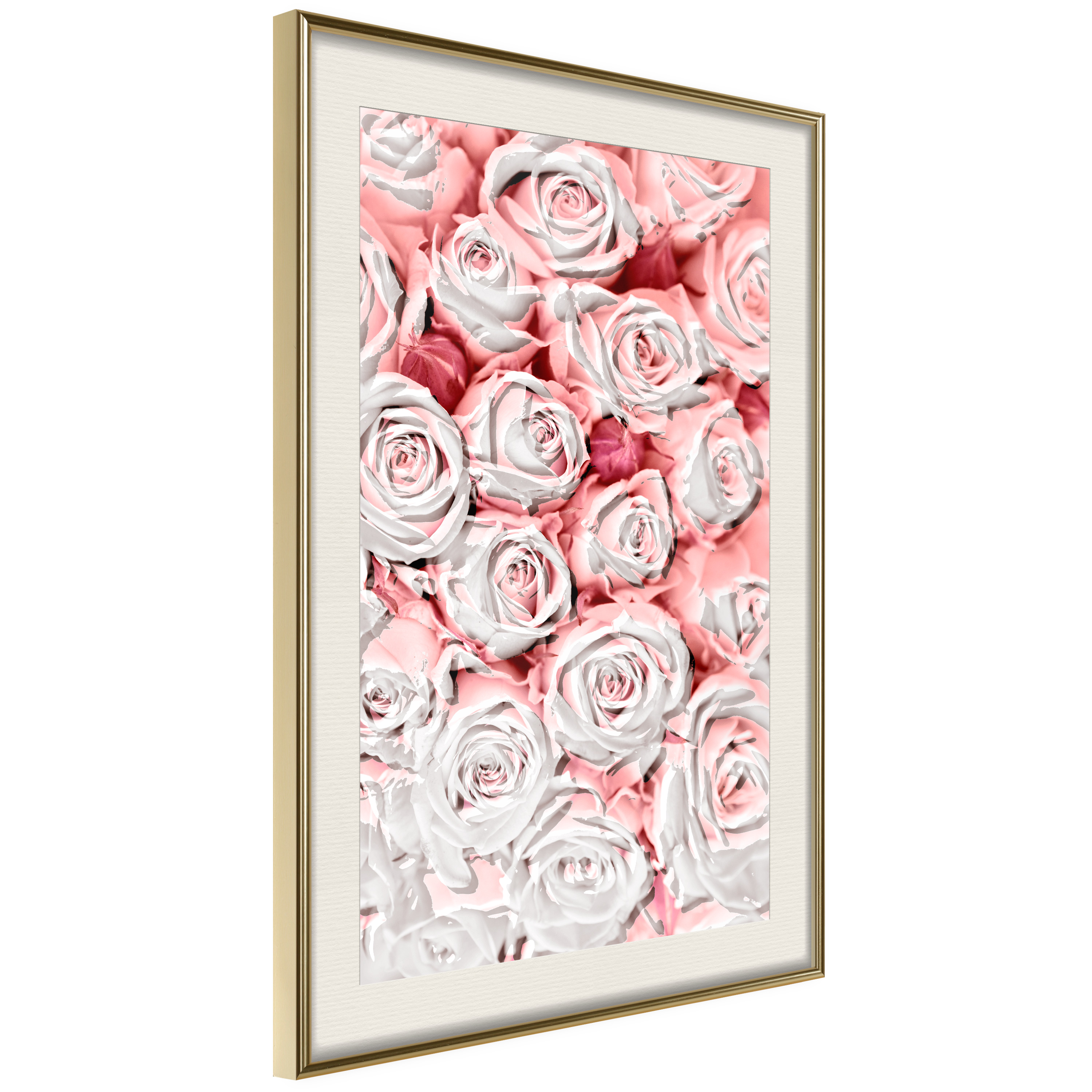 Affisch - White Roses [Poster] 30x45 Guld ram med passepartout, 30x45 cm