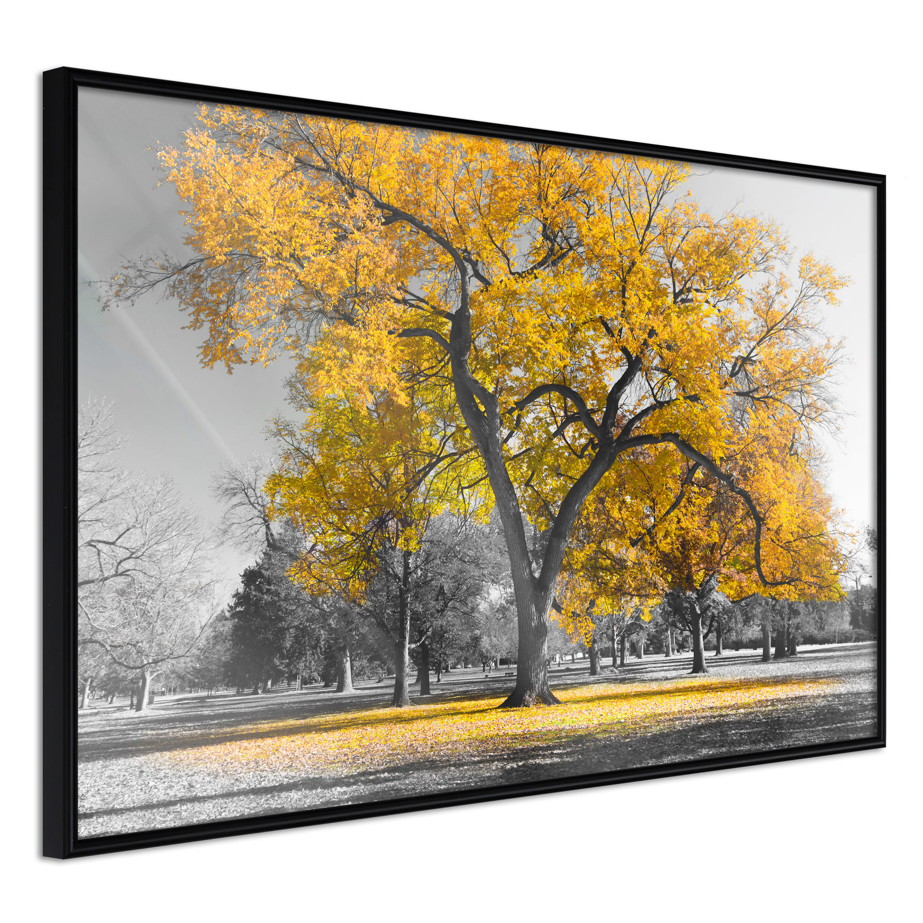 Affisch - Autumn in the Park (Gold) [Poster] 60x40 Svart ram, 60x40 cm