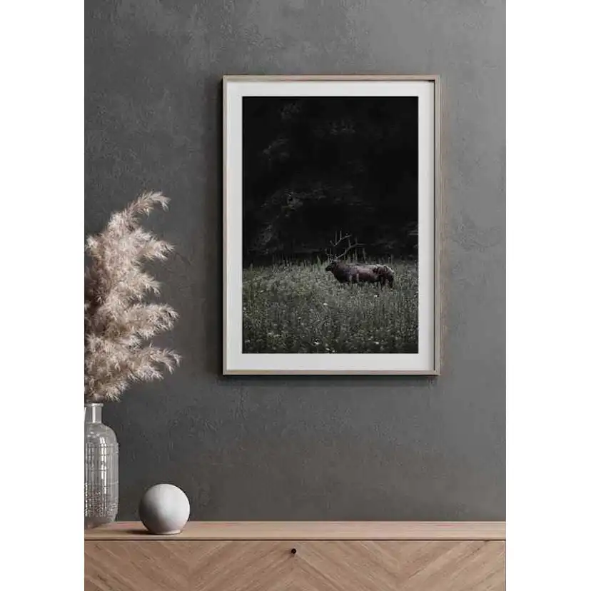 Poster Gallerix Deer in Nature