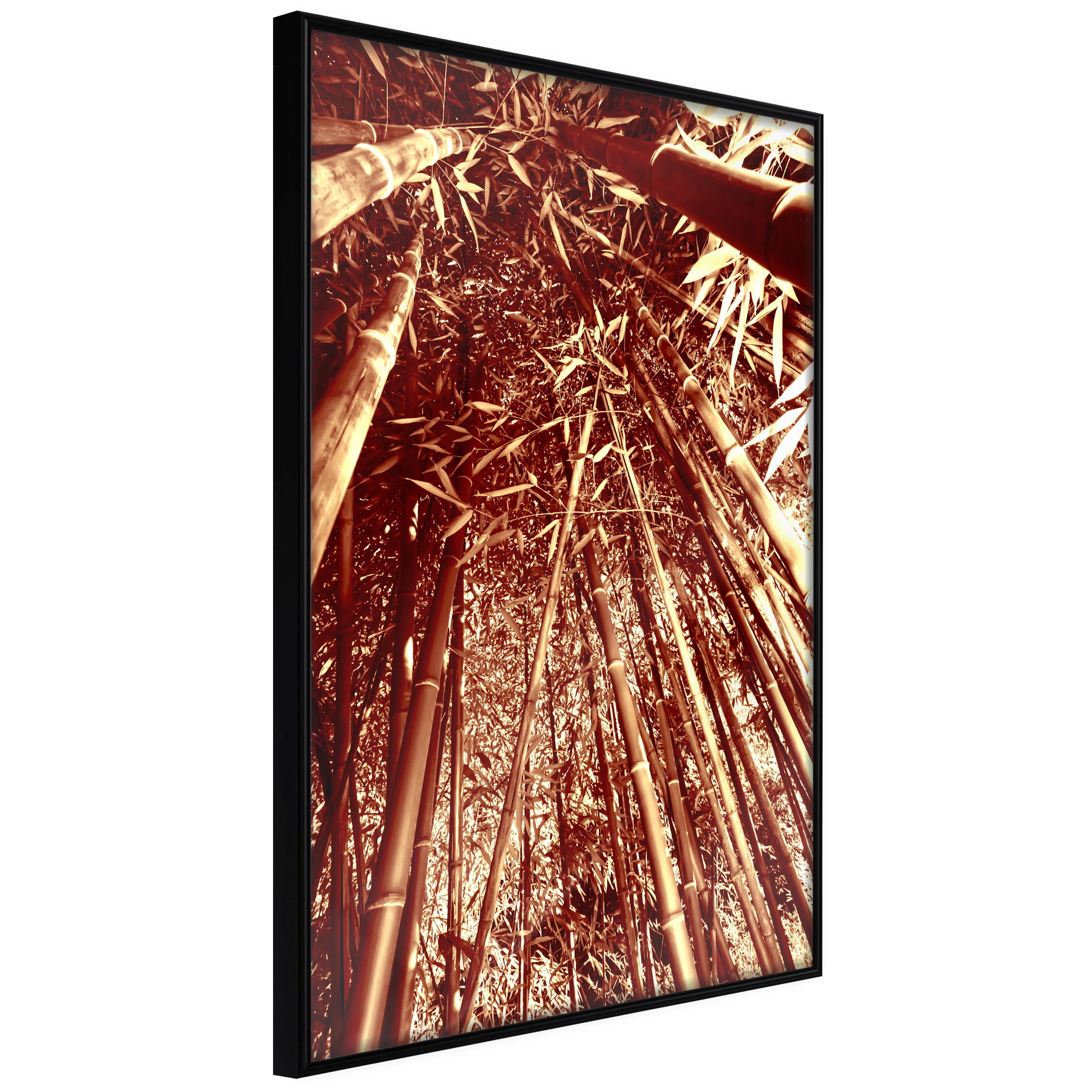 Affisch - Tall Bamboos [Poster] 40x60 Svart ram, 40x60 cm