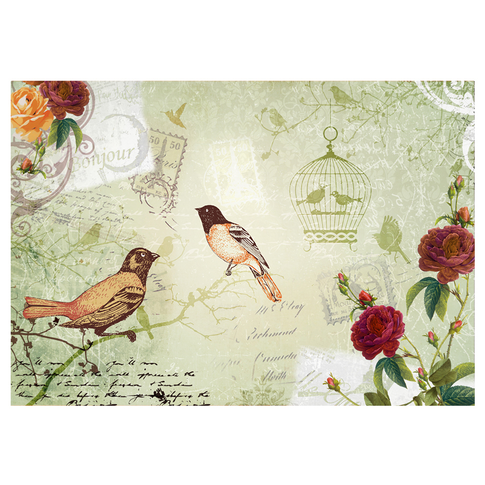 Fototapet Arkiio Vintage Birds