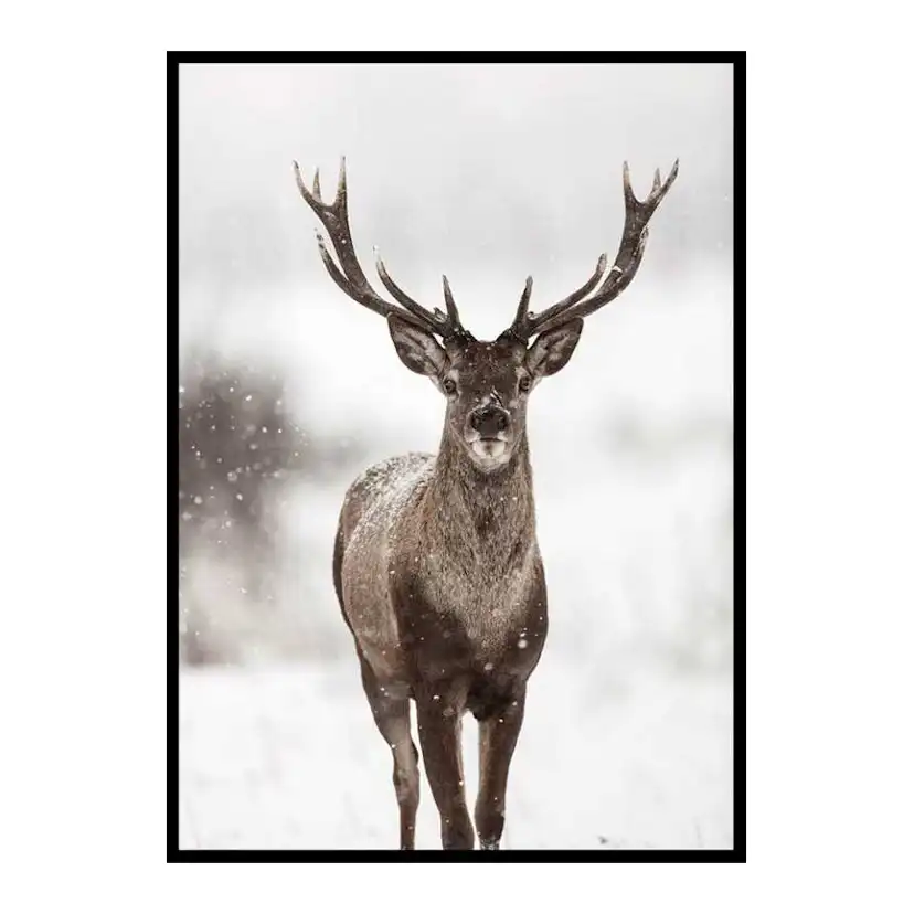 Majestic Red Deer 50x70 cm