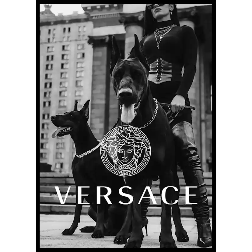Poster Gallerix Versace Fashion
