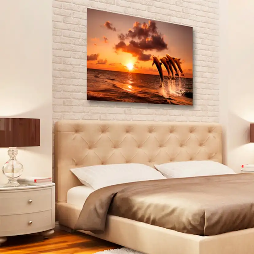 Tavla Arkiio The Dolphin's Dance