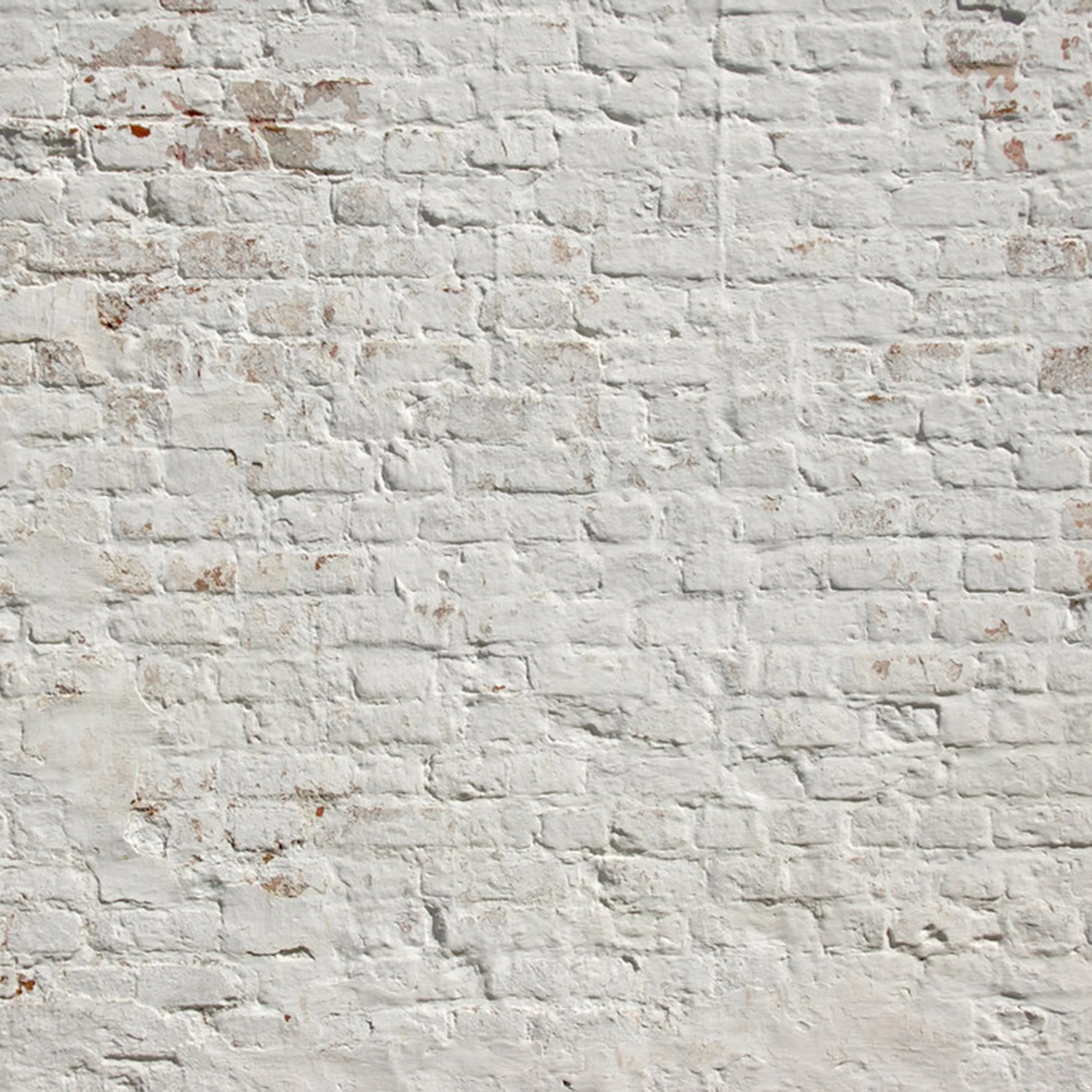 Fototapet Living Walls Designwalls DD118785