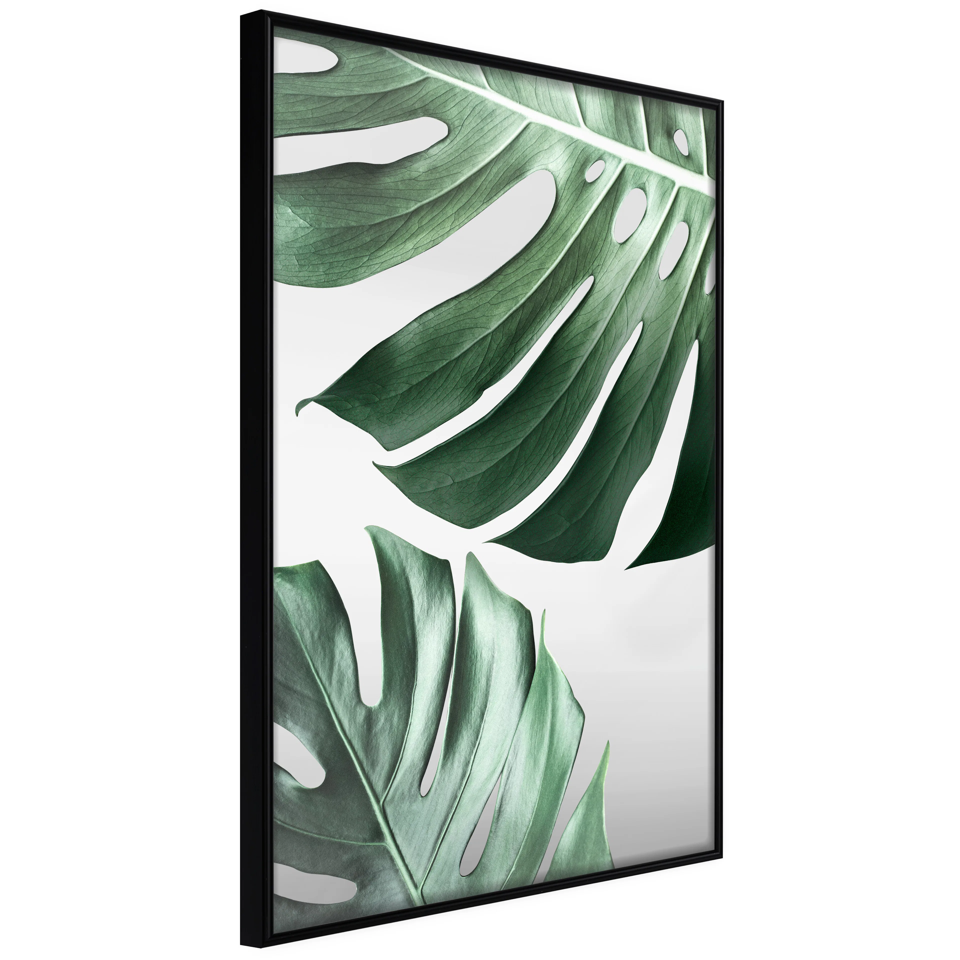 Affisch - Monstera Leaves [Poster] 40x60 Svart ram, 40x60 cm
