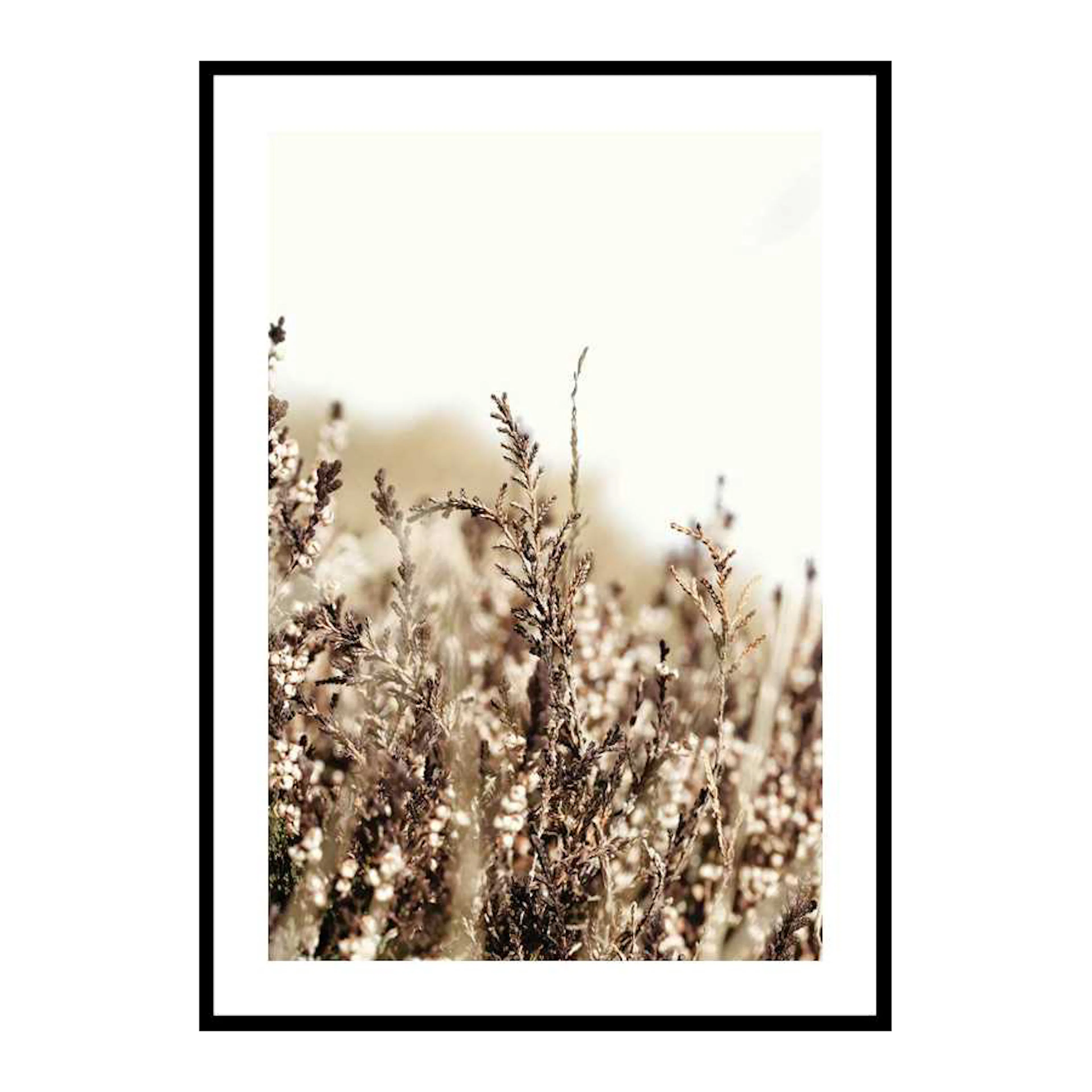 Poster Gallerix Growing Fields