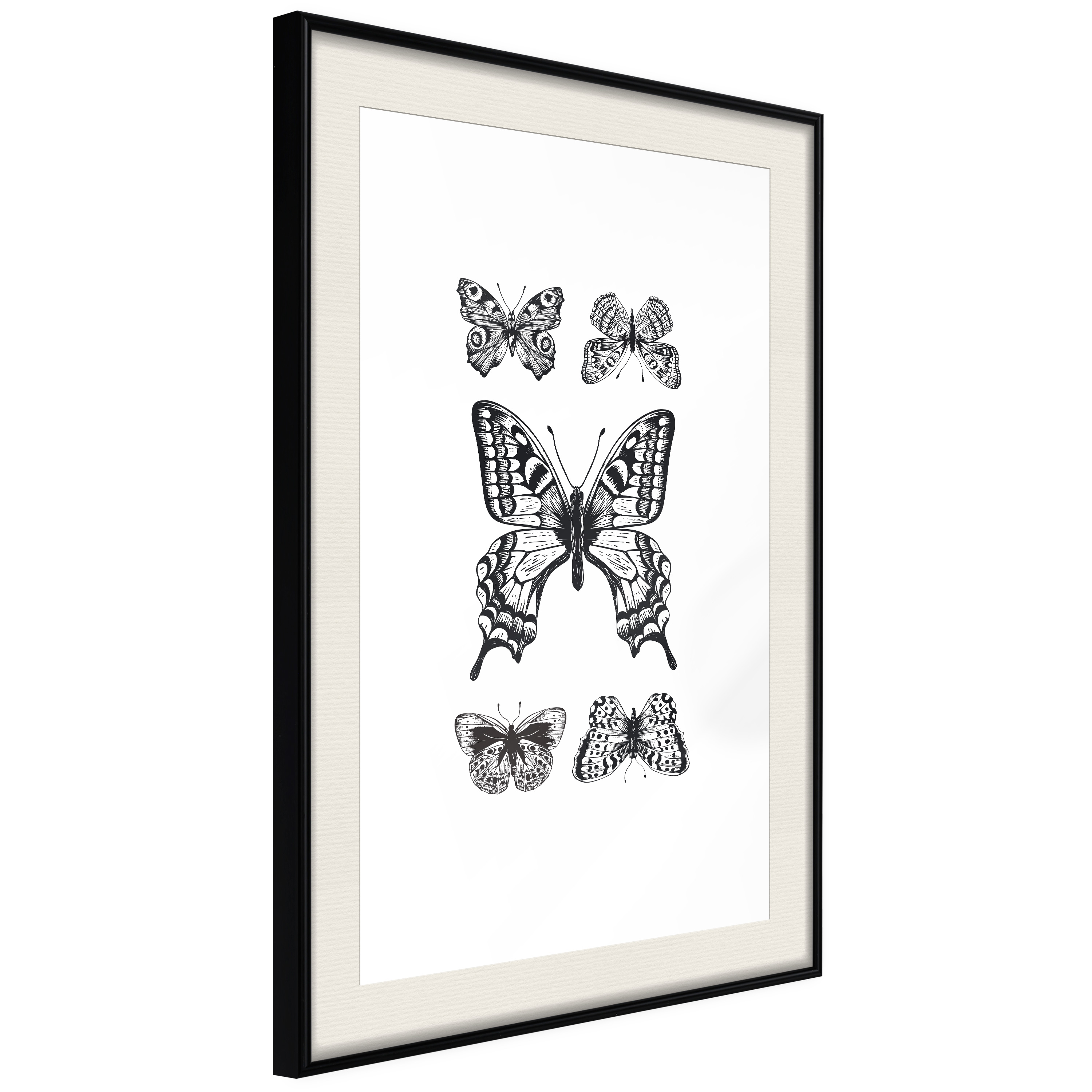 Affisch - Five Butterflies [Poster] 30x45 Svart ram med passepartout, 30x45 cm