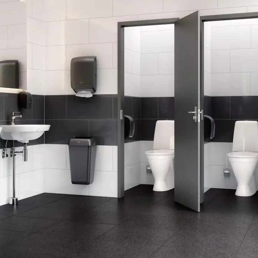 Toalettstol Gustavsberg Public 6600 C+ Hygienic Flush
