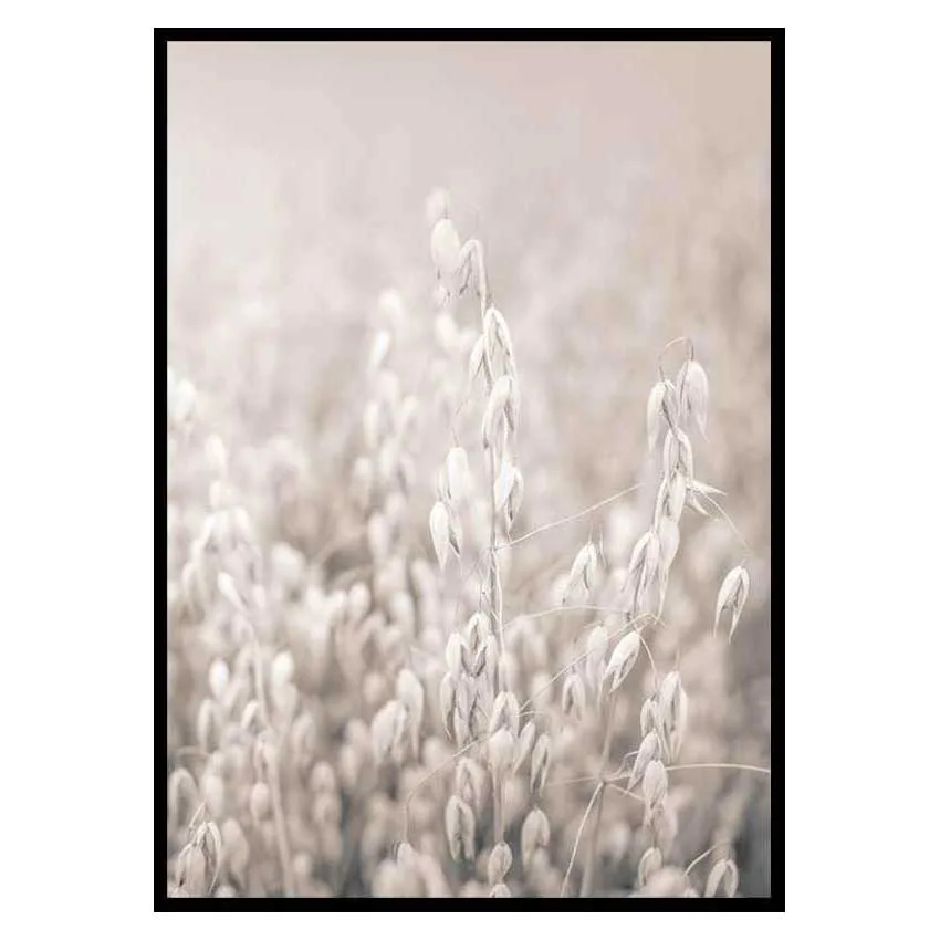 Poster Gallerix Oats No2