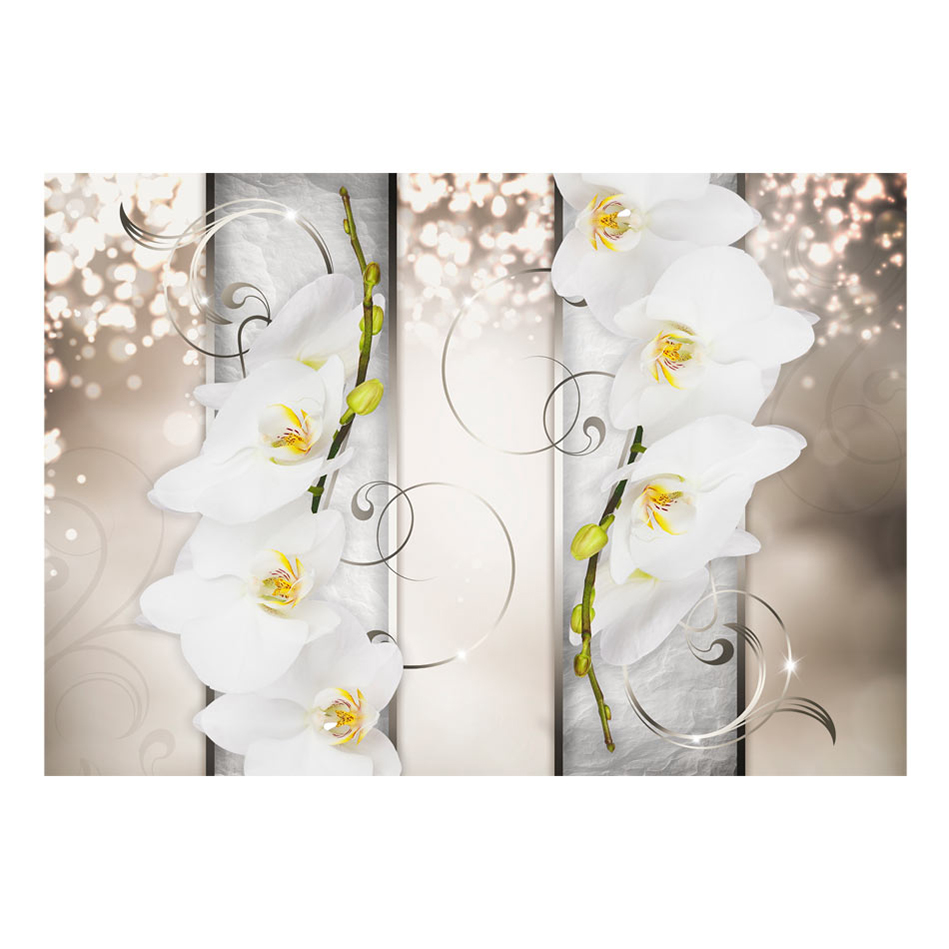 Fototapet Arkiio Sophisticated Duet