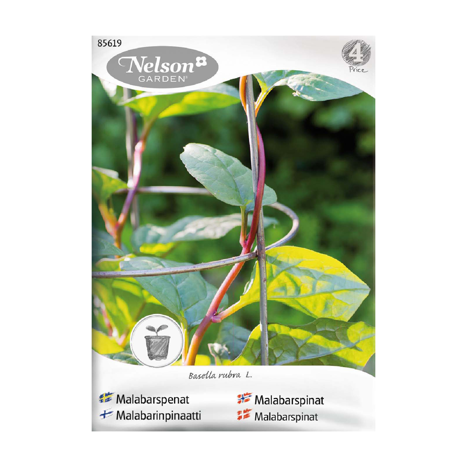 Frö Malabarspenat Nelson Garden Röd