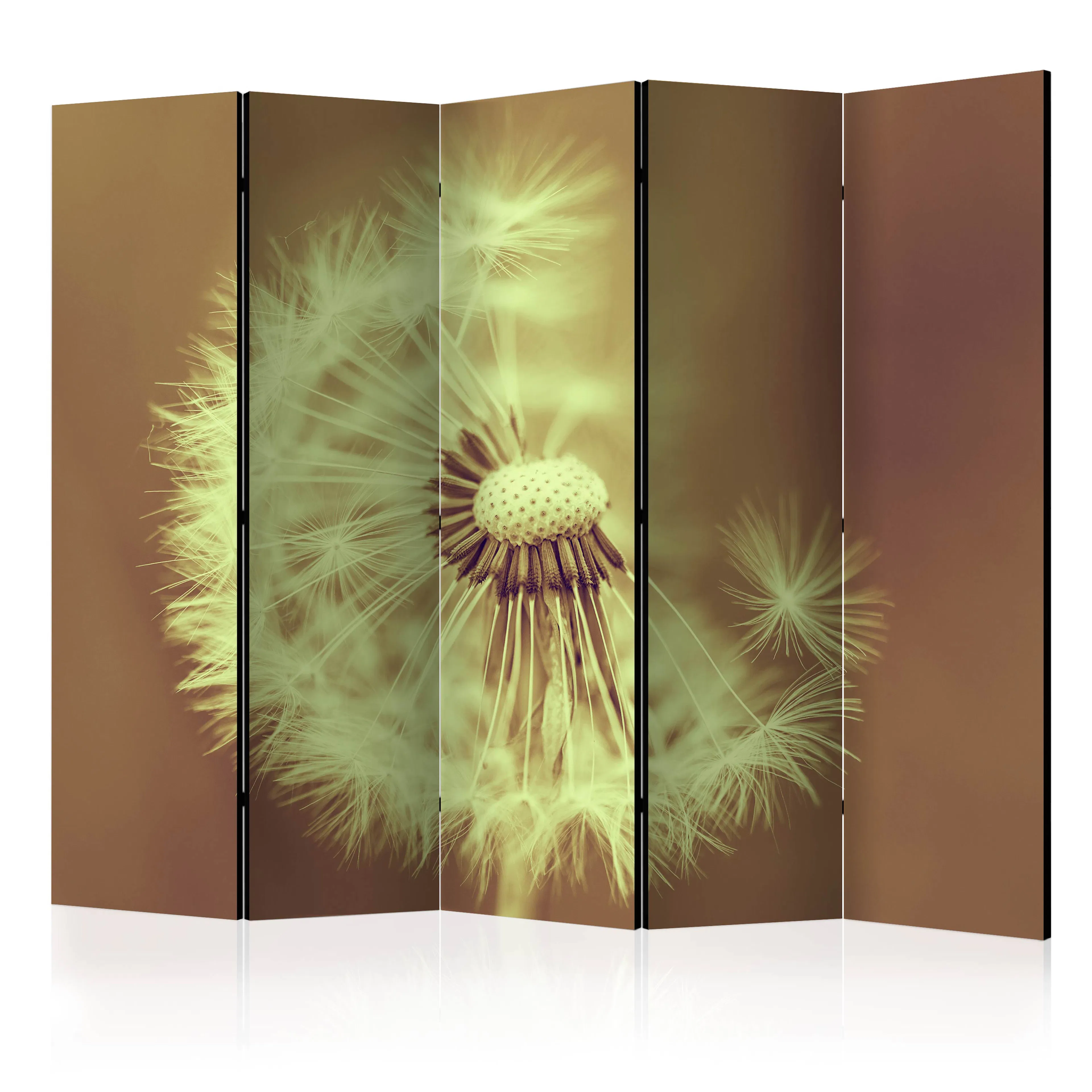 Rumsavdelare Arkiio Dandelion Sepia II 2017 225x172 cm
