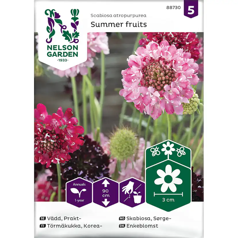 Praktvädd Nelson Garden Summer fruits