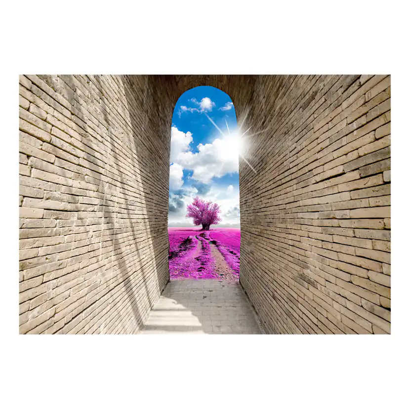 Fototapet Arkiio Magical Passage