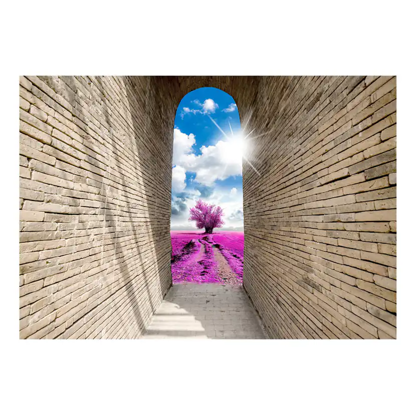 Fototapet Arkiio Magical Passage