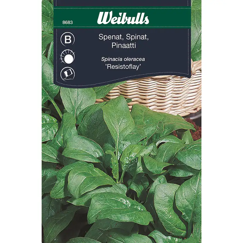 Frö Spenat Weibulls Fabris