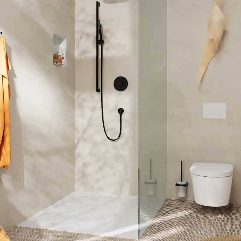 WC-borste Hansgrohe AddStoris