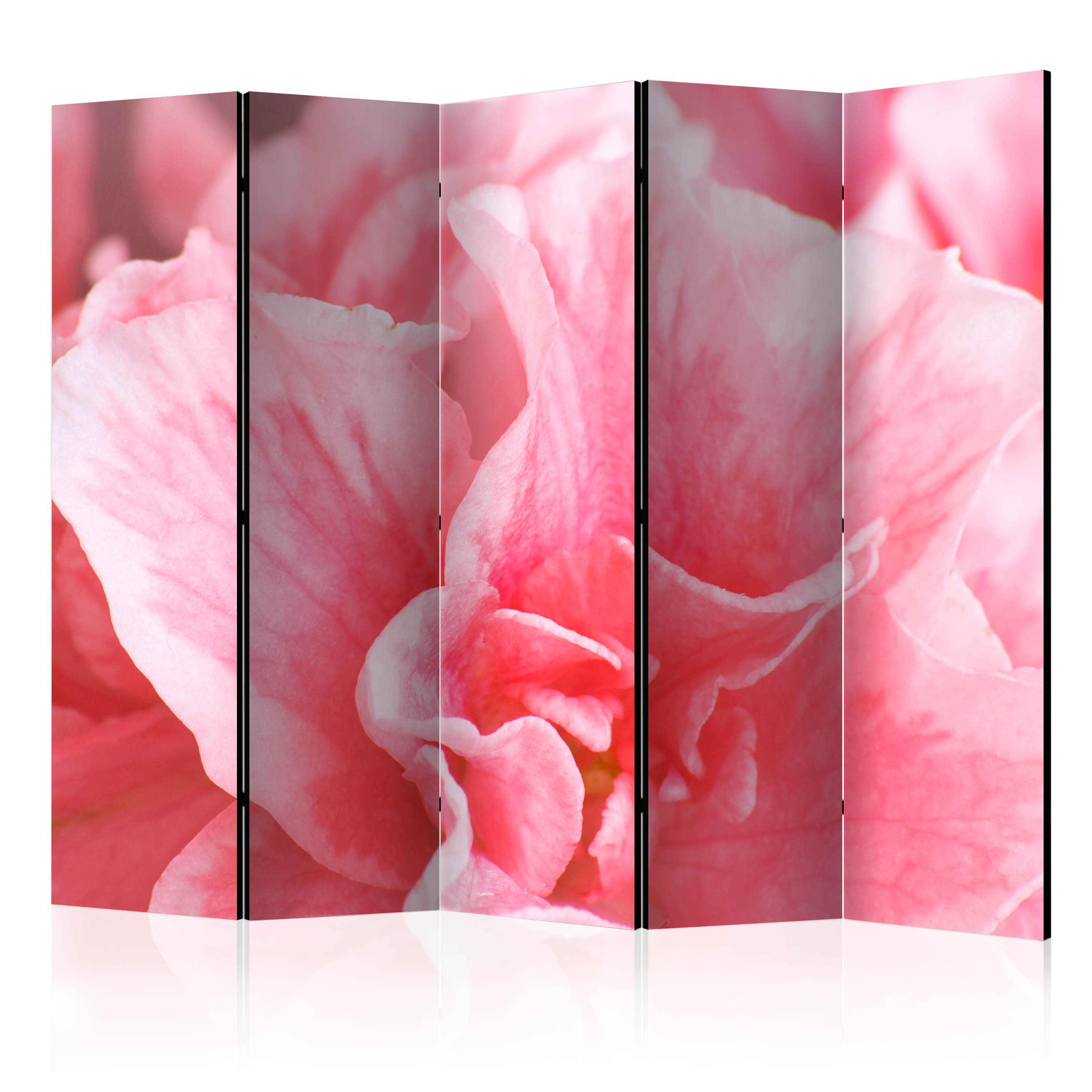 Rumsavdelare Arkiio Pink Azalea Flowers II 225x172 cm
