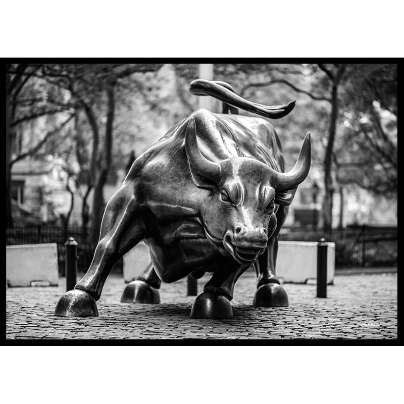 Poster Gallerix Charging Bull No2