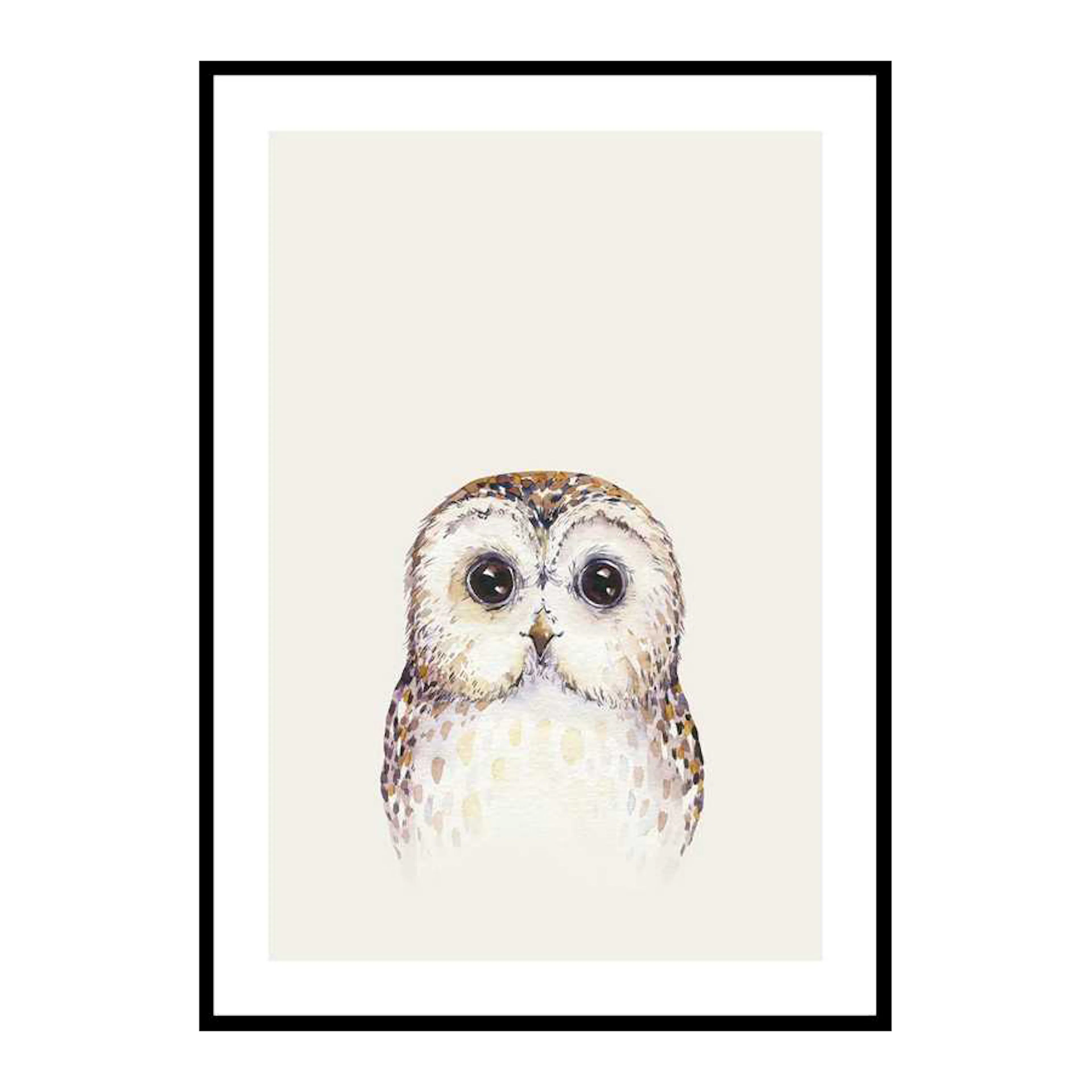 Peekaboo Owl 50x70 cm