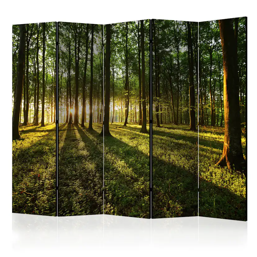 Rumsavdelare Arkiio Morning in the Forest II 225x172 cm