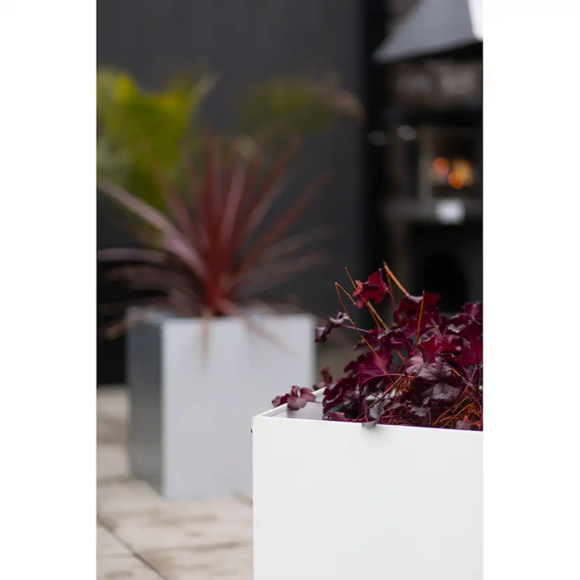 Kruka Skotte Garden Zinkplåt 25X25X30 cm