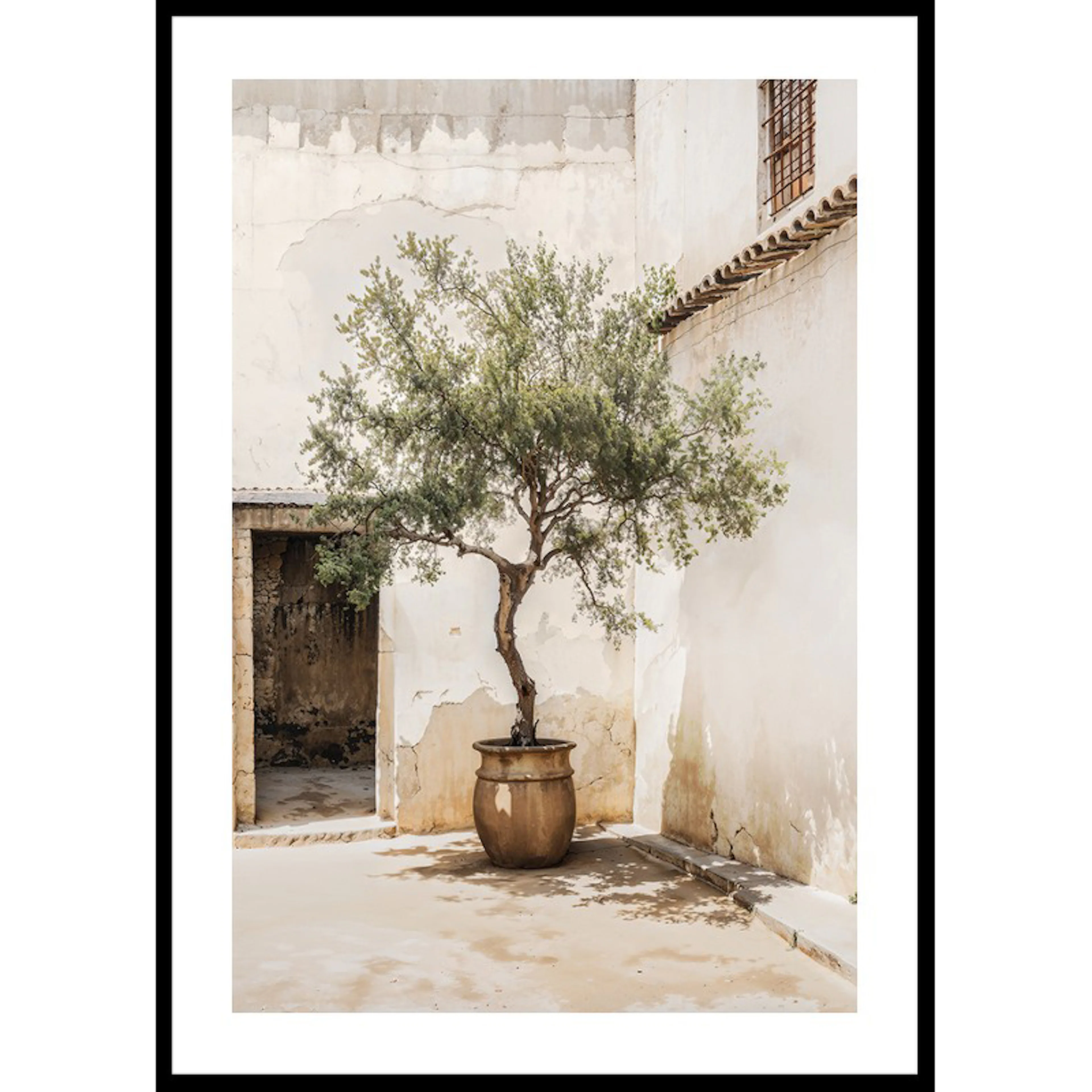 Poster Gallerix Olive Tree Mediterranean Setting No2