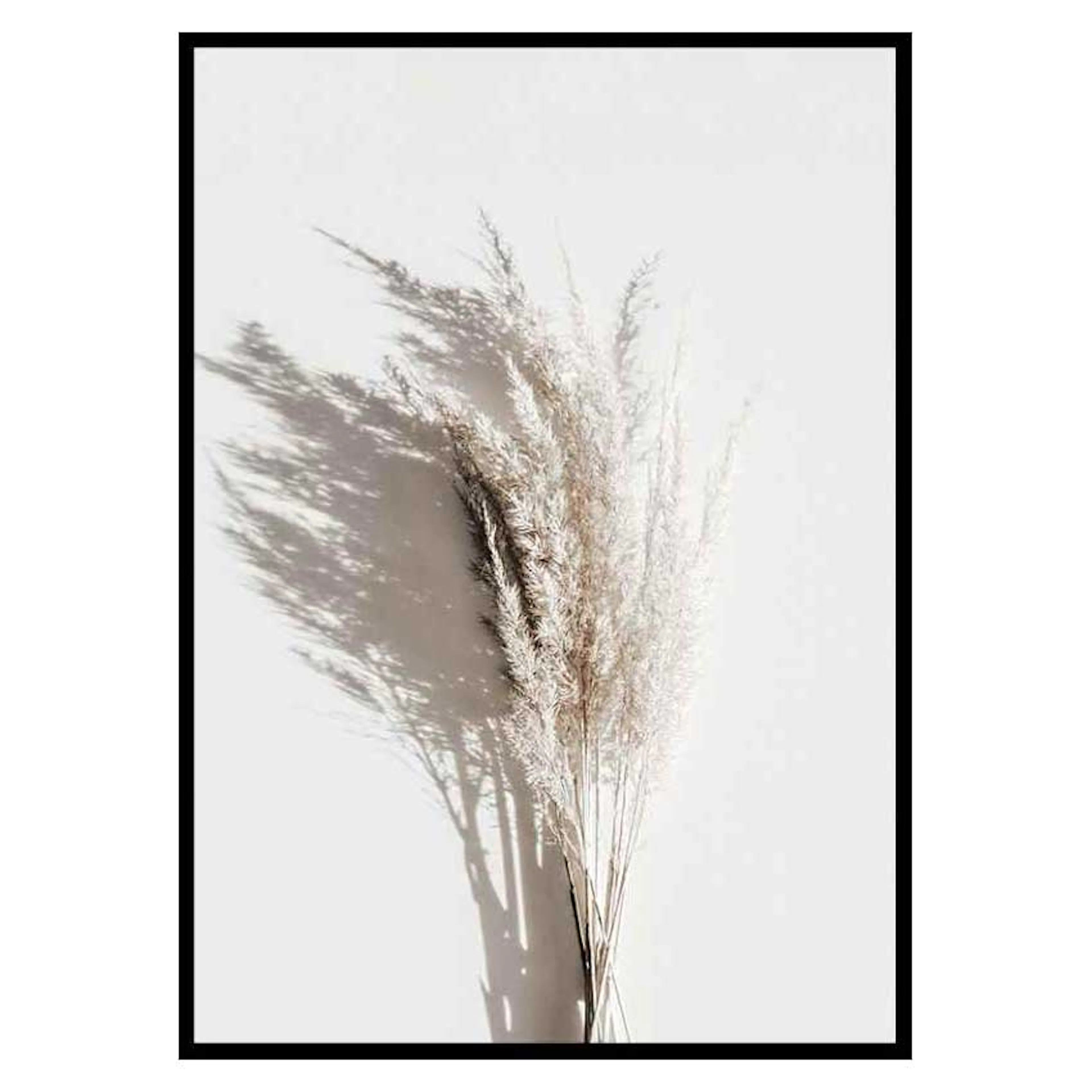 Poster Gallerix Dry Reeds No3