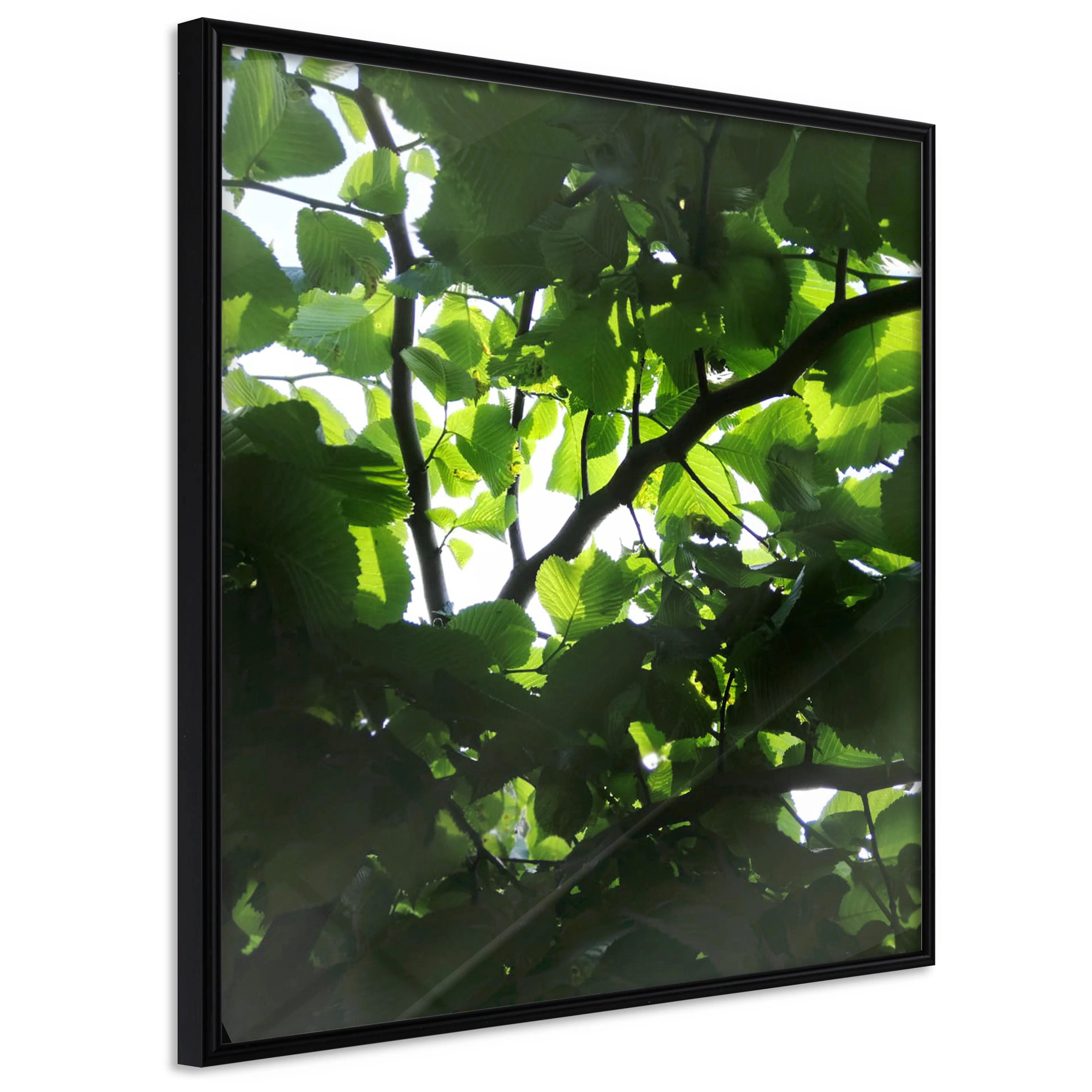 Affisch - Dawn [Poster] 20x20 Svart ram, 20x20 cm
