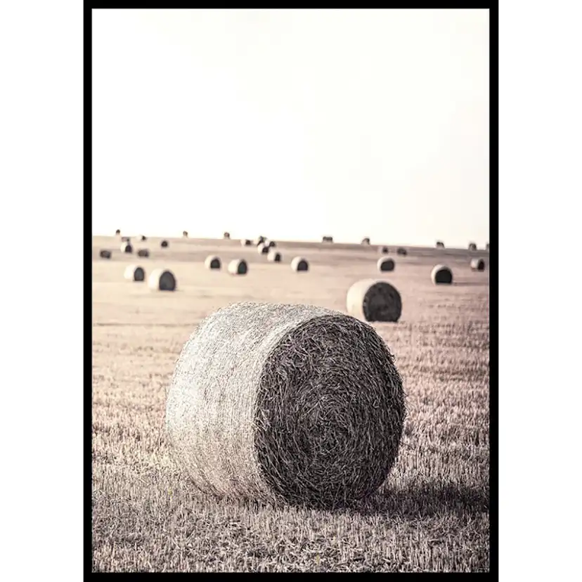 Poster Gallerix Hay Bale