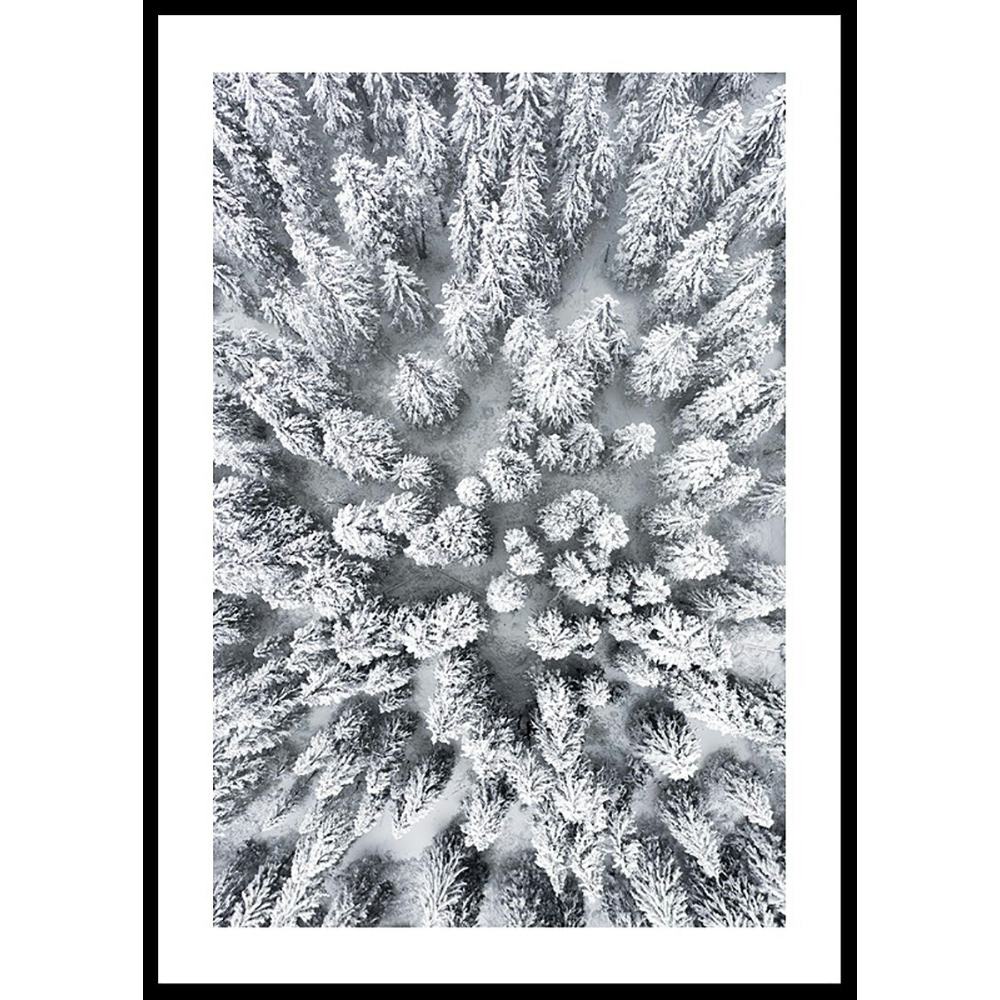 Poster Gallerix Snow Forest Aerial