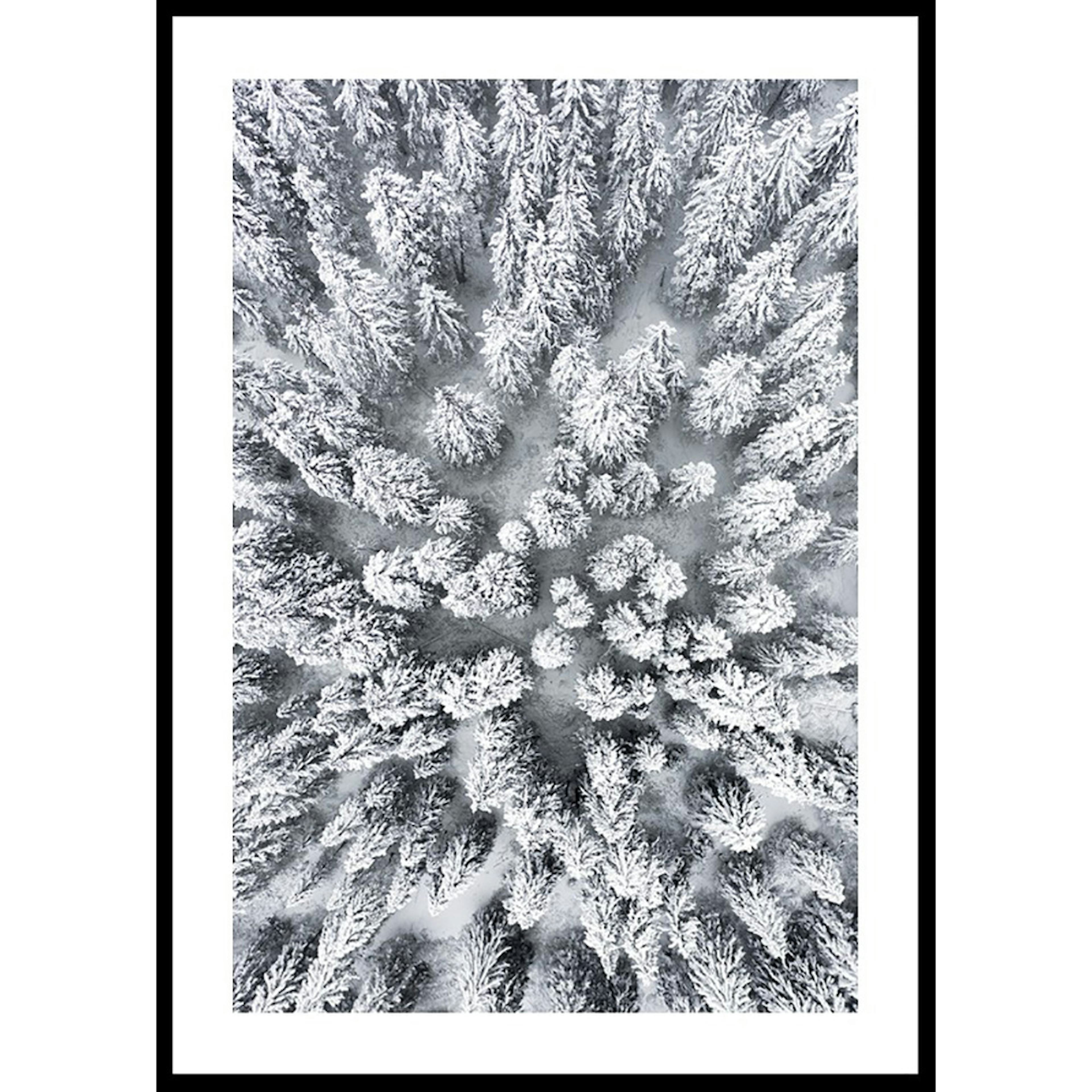 Poster Gallerix Snow Forest Aerial