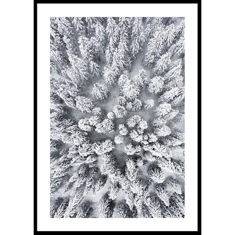 Poster Gallerix Snow Forest Aerial